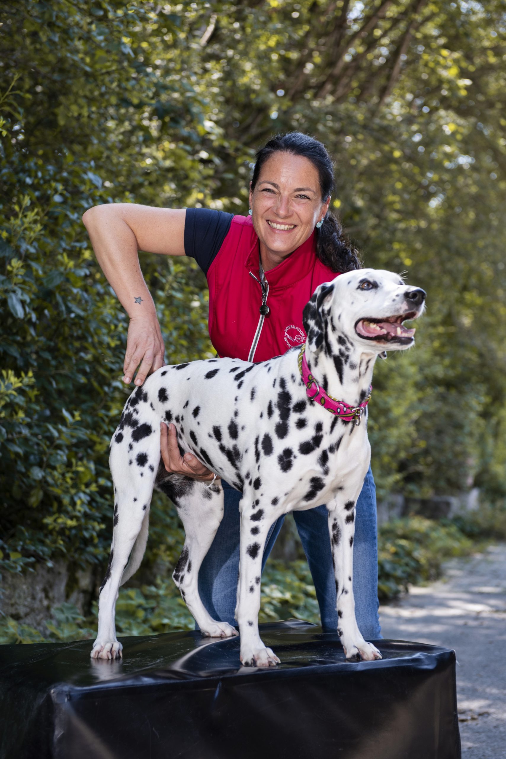 Chiropraktik am Hund, Tierärztin